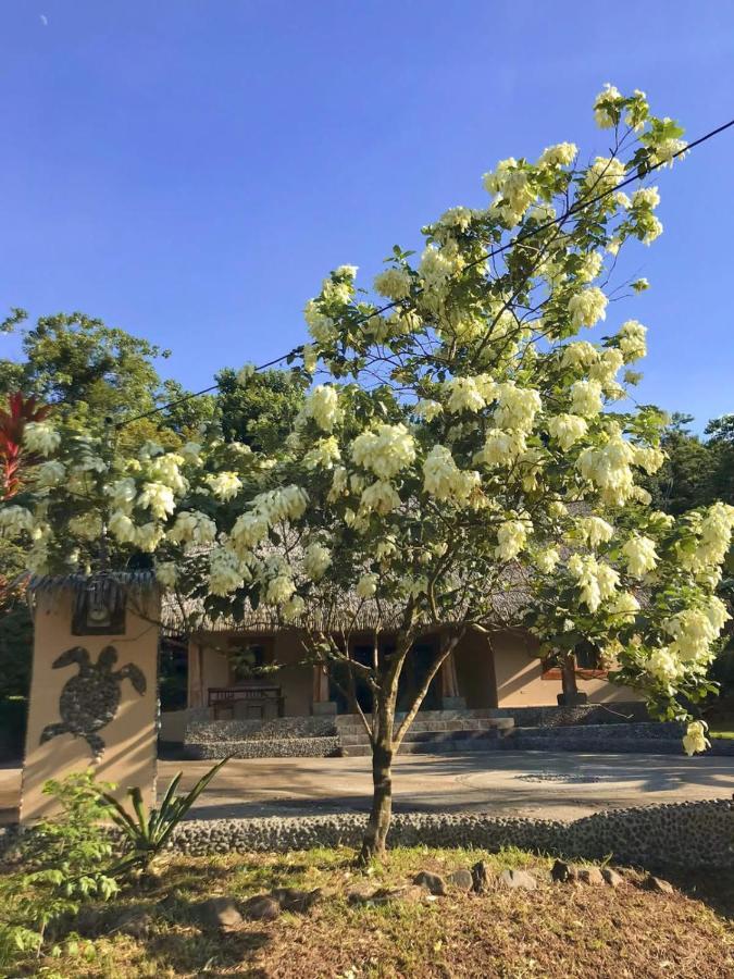 Urbanos Jungle Hostel サンタ・カタリナ エクステリア 写真