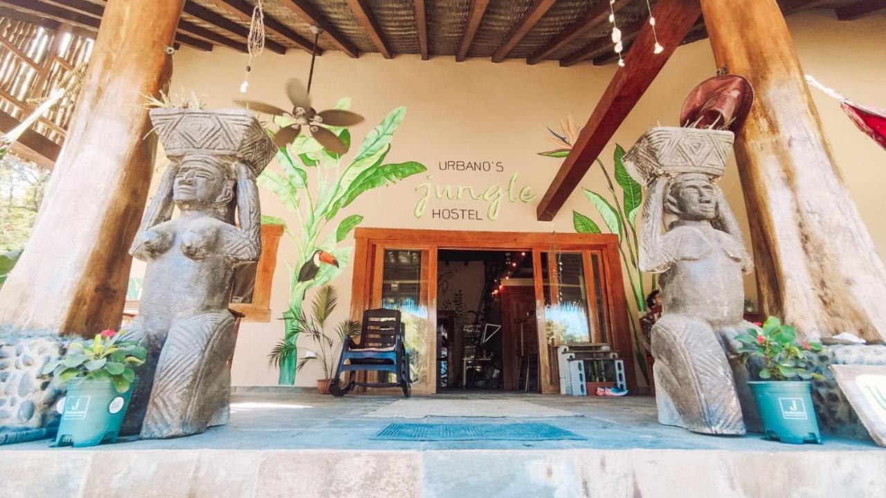 Urbanos Jungle Hostel サンタ・カタリナ エクステリア 写真