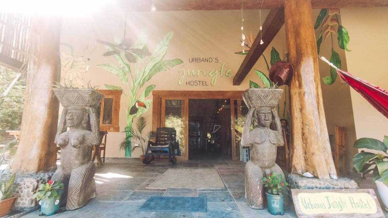 Urbanos Jungle Hostel サンタ・カタリナ エクステリア 写真