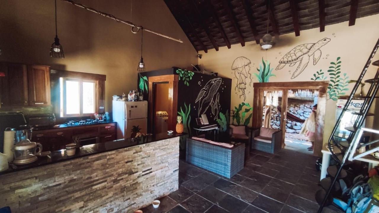 Urbanos Jungle Hostel サンタ・カタリナ エクステリア 写真