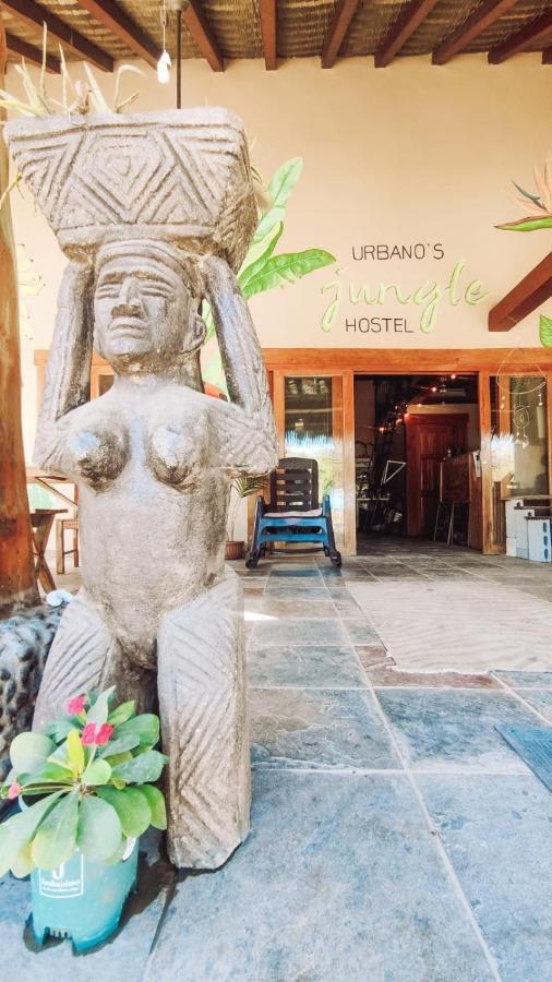 Urbanos Jungle Hostel サンタ・カタリナ エクステリア 写真