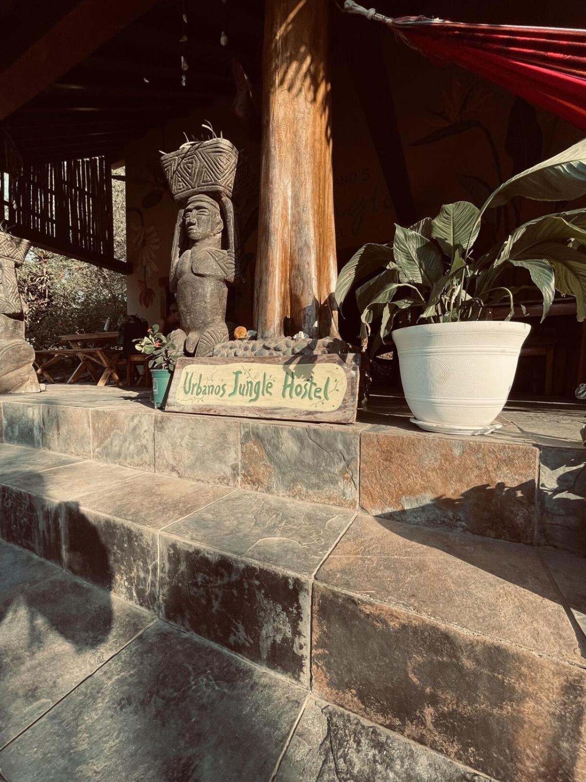 Urbanos Jungle Hostel サンタ・カタリナ エクステリア 写真