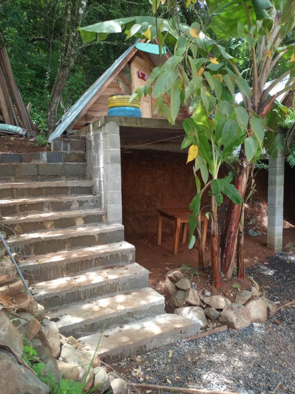 Urbanos Jungle Hostel サンタ・カタリナ エクステリア 写真
