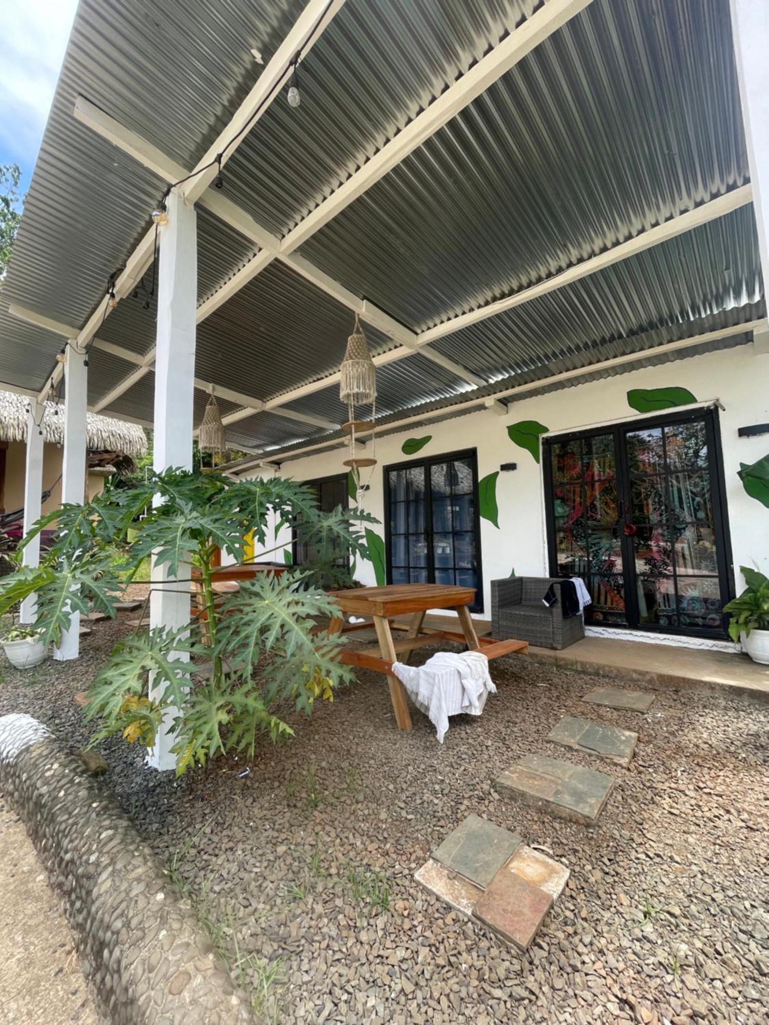 Urbanos Jungle Hostel サンタ・カタリナ エクステリア 写真